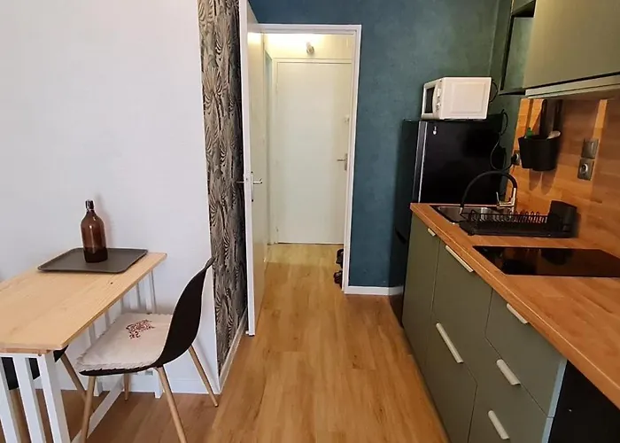 2 P 100 M De La Apartment Agde