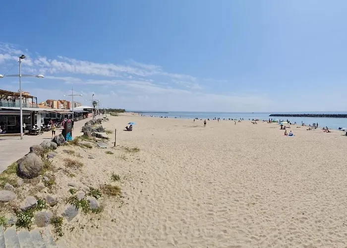 2 P 100 M De La Apartment Agde